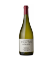 Vino Semillon Zuccardi Poligonos 750 Ml