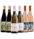 Vino Paso A Paso Criolla Rose + Pala Corazon + Zun Zun