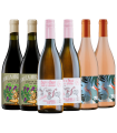 Vino Paso A Paso Criolla Rose + Pala Corazon + Zun Zun Caja X6