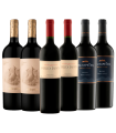 Vino Trumpeter + Catena + Las Perdices Caja X6