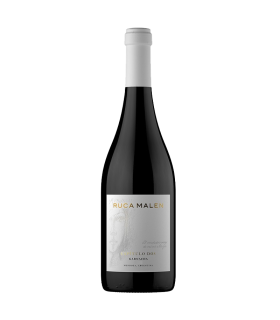 Vino Garnacha Ruca Malen Capitulo 2 750 Ml