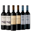 Vino Catena + Zuccardi + Andeluna Caja X6