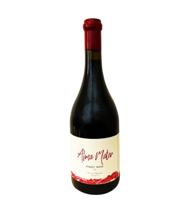 Vino Pinot Noir Matervini Almamater 750 Ml