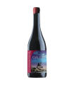 Vino Bonarda Galileo Vinedo Lejano 750 Ml