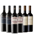 Vino Rutini + Dv Catena + Trumpeter Caja X6