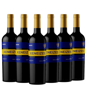 Vino Malbec Bianchi Xeneizes Caja X6