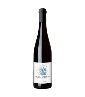 Vino Pinot Noir Facundo Montane Tierra Adentro 750 Ml.
