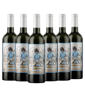 Vino Malbec Pablo Guarrochena Caja X6