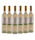 Vino Yacochuya Coquena Torrontes Caja X6