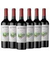 Vino Sophenia Altosur Malbec Caja X6