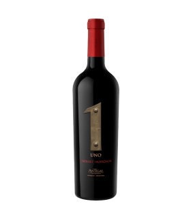 Vino Cabernet Sauvignon Antigal Uno 750 Ml.
