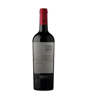 Vino Cabernet Sauvignon Penedo Borges Prisma Gran Reserva 750 Ml.