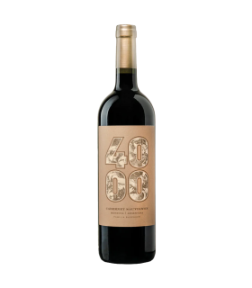Vino Cabernet Sauvignon Budeguer 4000 Gran Reserva 750 Ml.
