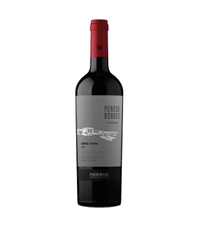 Vino Cabernet Sauvignon Penedo Borges Cepas 750 Ml