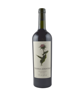Vino Cabernet Sauvignon Facundo Montane Tierra Adentro 750 Ml.