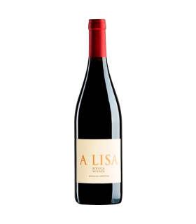 Vino Malbec Noemia A Lisa 750 Ml