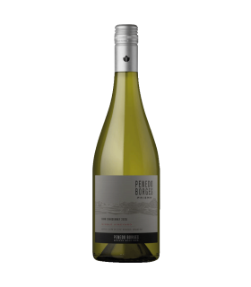 Vino Chardonnay Penedo Borges Prisma Gran Reserva 750 Ml.