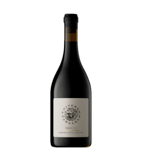 Vino Sangiovese Universo Paralelo 750 Ml.