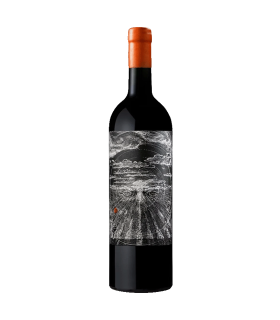 Vino Cabernet Franc Consciente Mente 750 Ml