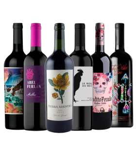 Vino Malbec De Garage Caja X6