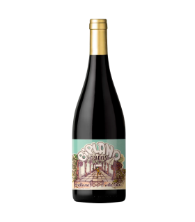 Vino Criolla Biplano Galeria 750 Ml