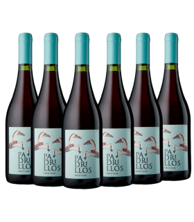 Vino Ernesto Catena Padrillos Mabec Caja X6