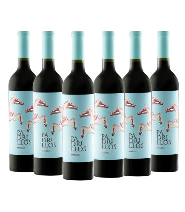 Vino Ernesto Catena Padrillos Mabec Caja X6