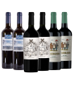 Malbec Con Actitud Caja Mix X6
