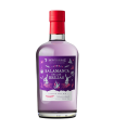 Gin Montarraz Salamanca De Las Brujas 750 Ml