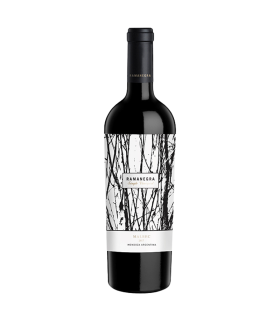 Vino Malbec Ramanegra Single Vineyard 750 Ml | Sol y Vino