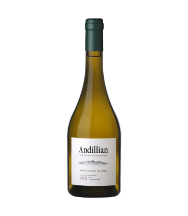 Vino Sauvignon Blanc La Coste De Los Andes Andillian 750 Ml | Sol y Vino