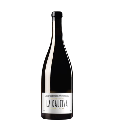 Vino Malbec Michelini I Mufatto La Cautiva 750 Ml