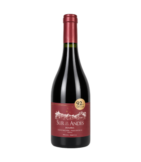 Vino Malbec Sur De Los Andes Anforas 750 Ml