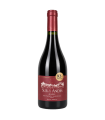 Vino Malbec Sur De Los Andes Anforas 750 Ml