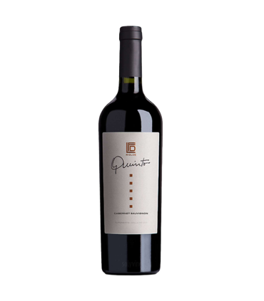 Vino Cabernet Sauvignon Riglos Quinto 750 Ml