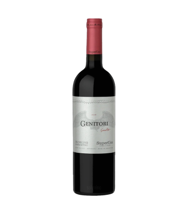 Vino Blend Super Uco Gualta 2021 750 Ml | Sol y Vino