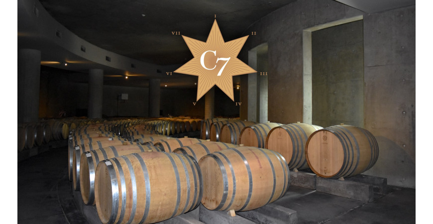 De Pomerol a Vista Flores: El Enólogo que se Enamoró del Terroir Mendocino