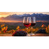 MENDOZA EN UNA COPA DE VINO